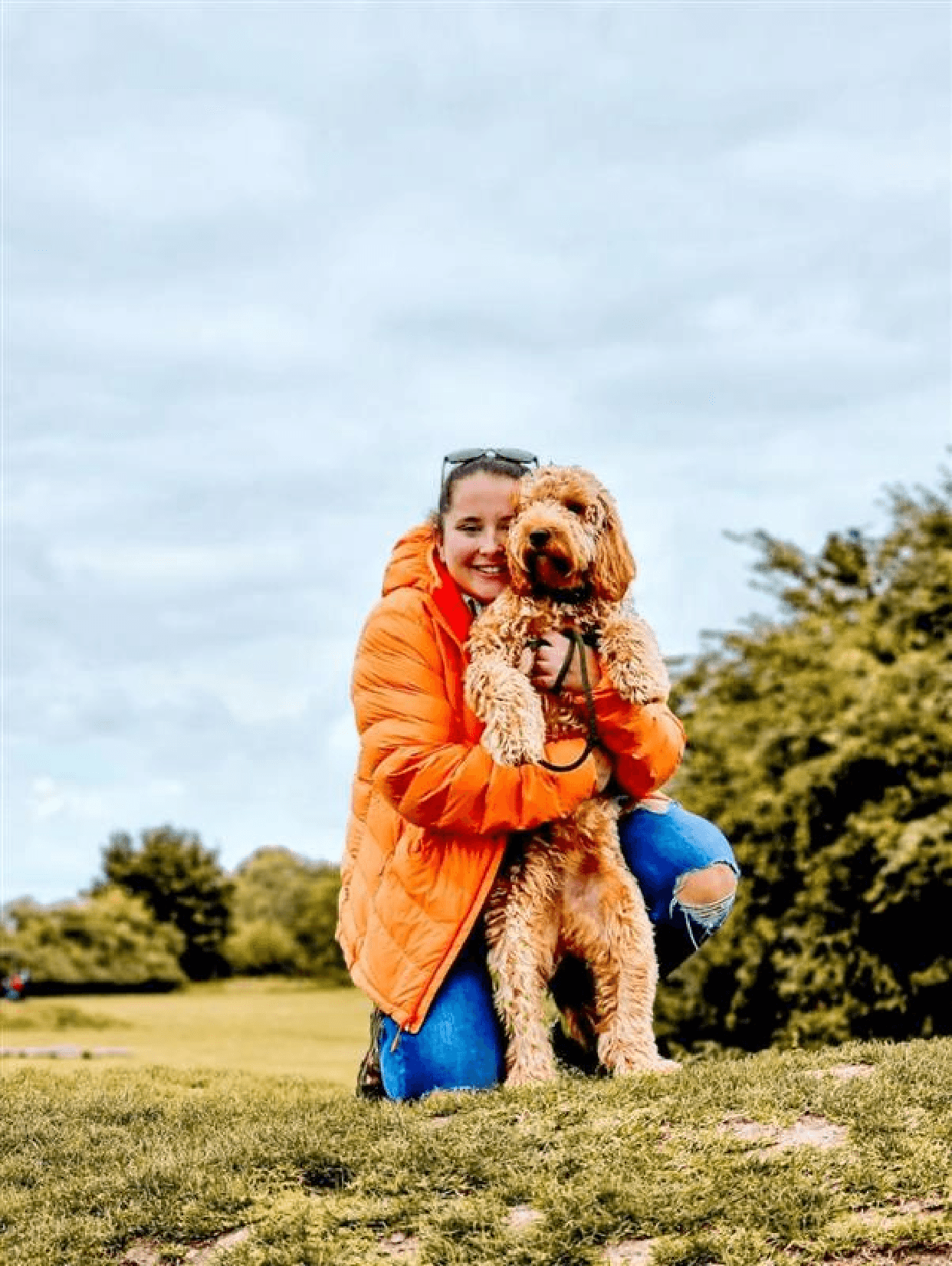 Addison’s Disease in Dogs: Causes, Symptoms, Treatment