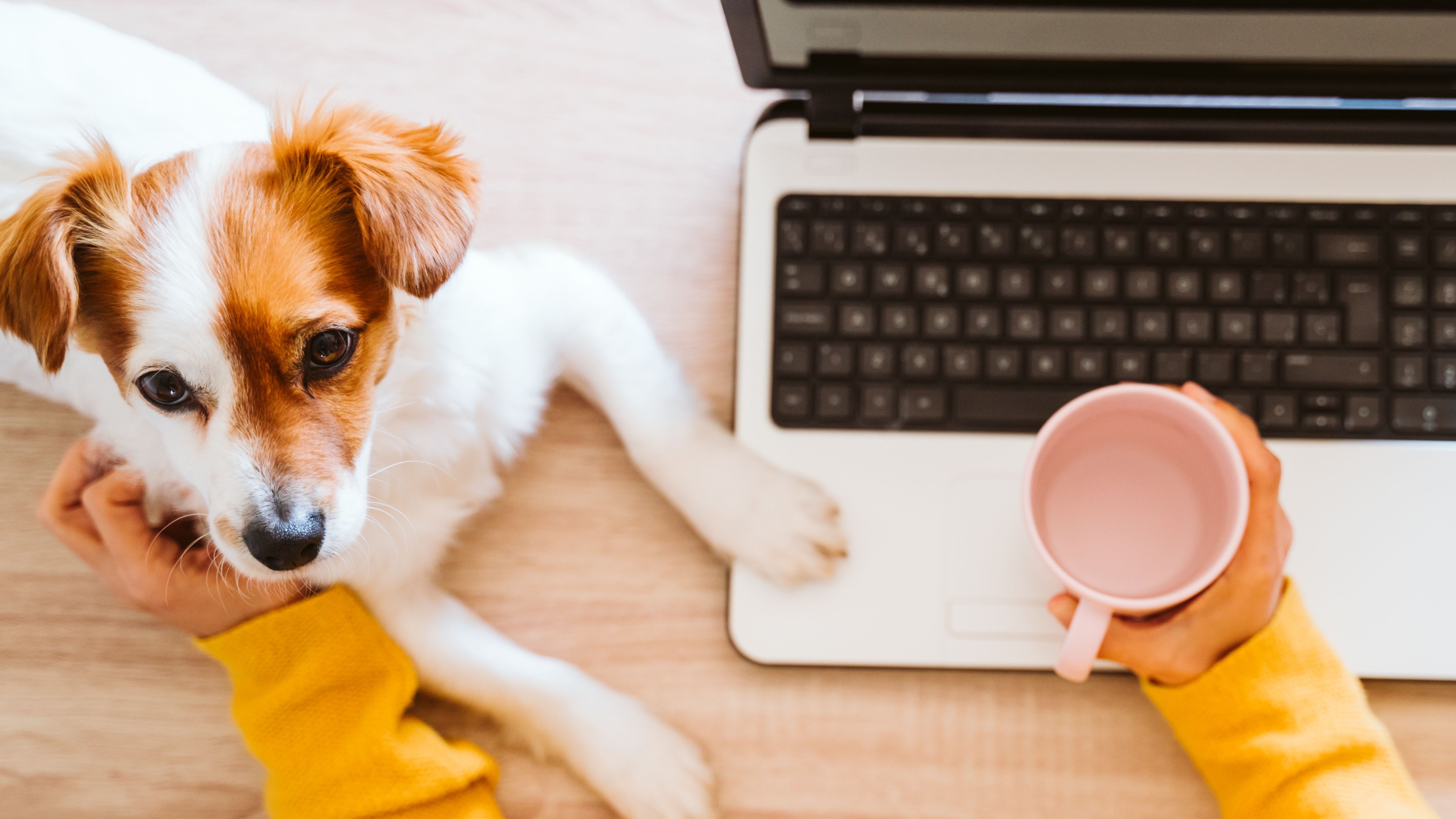 Why order repeat medication online