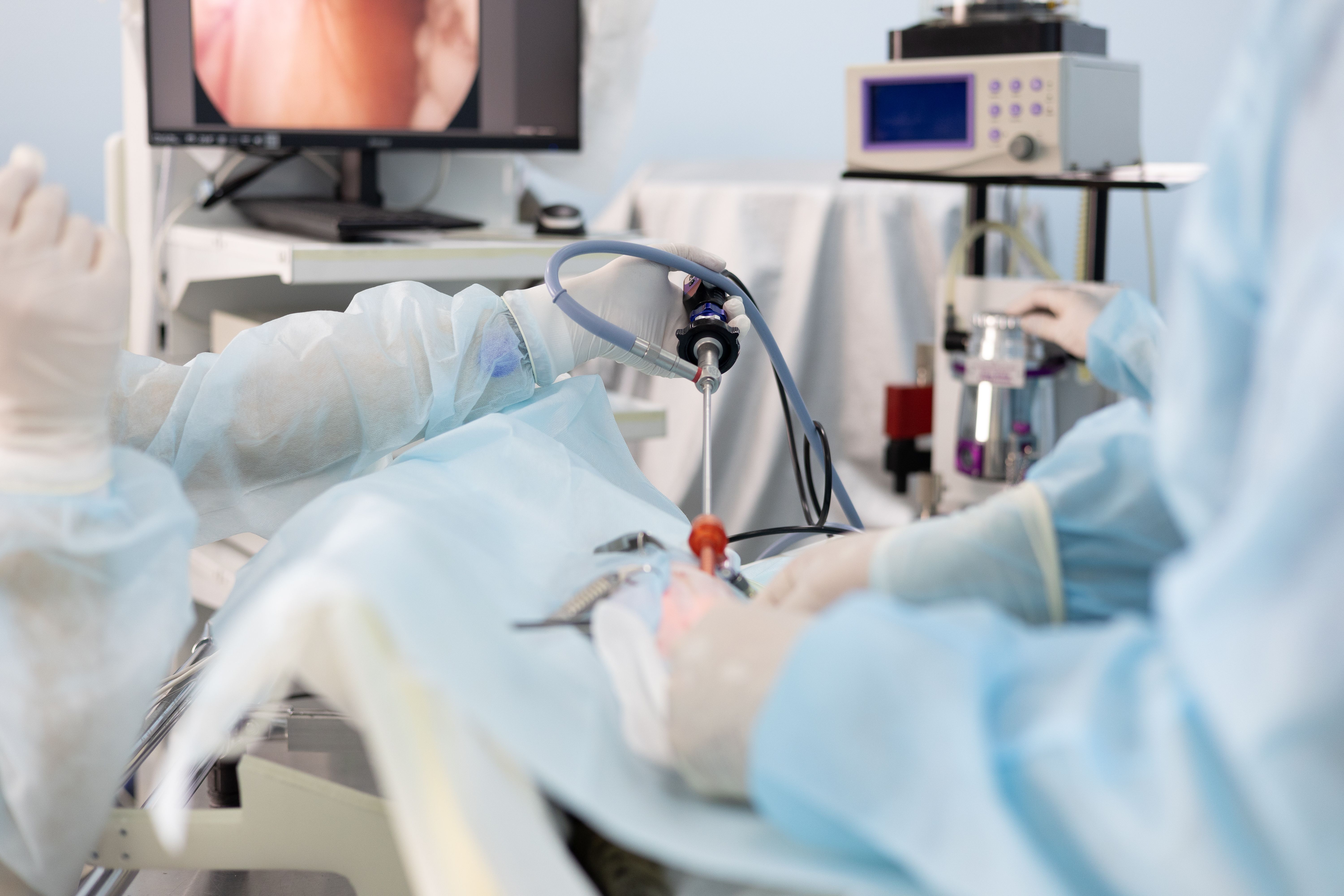 What is a Pet Endoscopy?