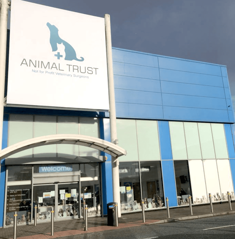 vets-in-ashton-under-lyne-animal-trust