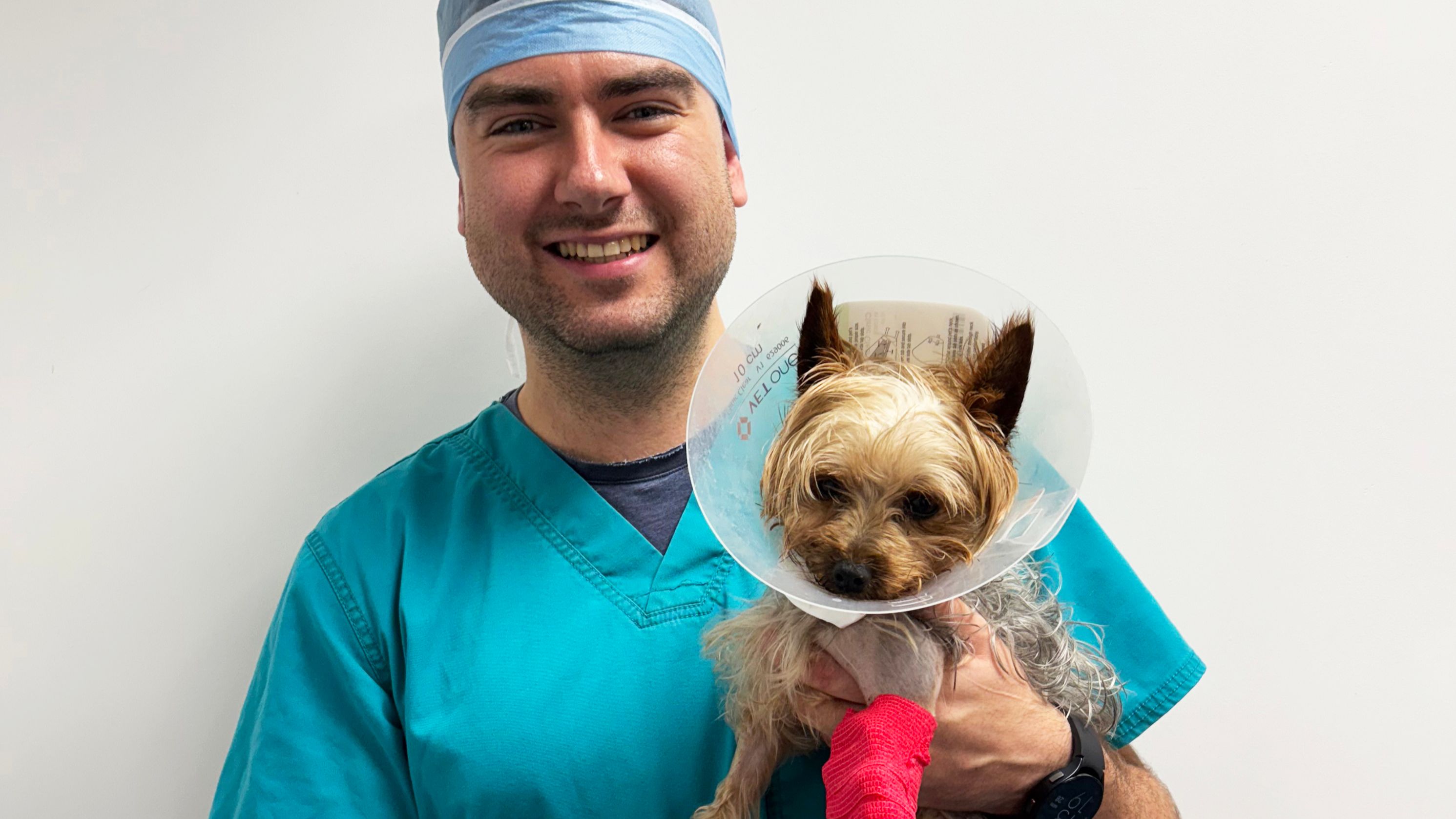 Yorkshire Terrier Lilly has orthopaedic surgery