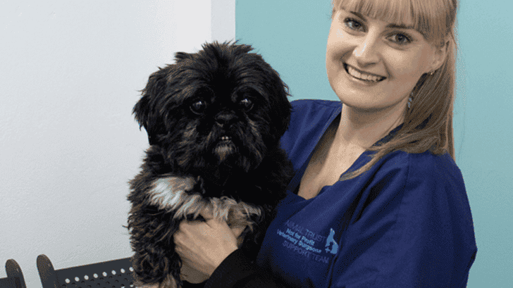 Budgeting for Vet Care