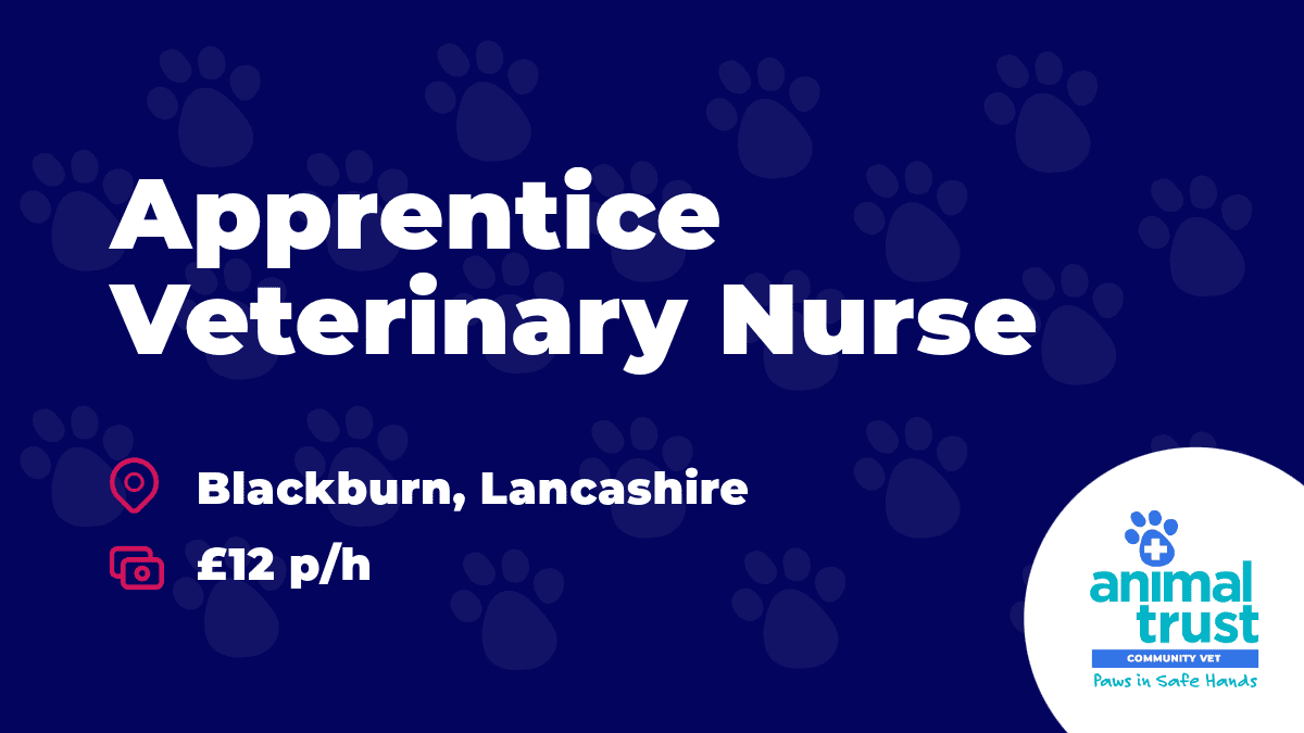 Apprentice Veterinary Nurse Blackburn Animal Trust