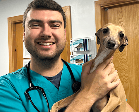 Animal Trust Nurse Careers