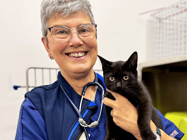 Animal Trust Nurse Careers